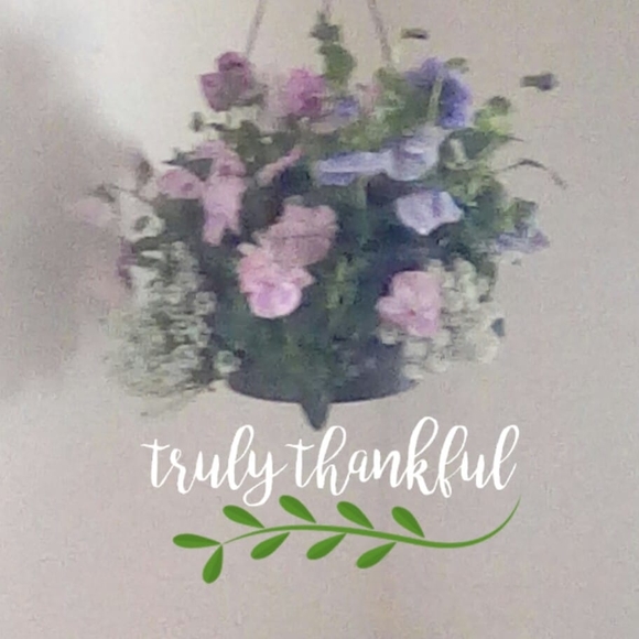 Meet your Posher, Lee - Picture 1 of 1